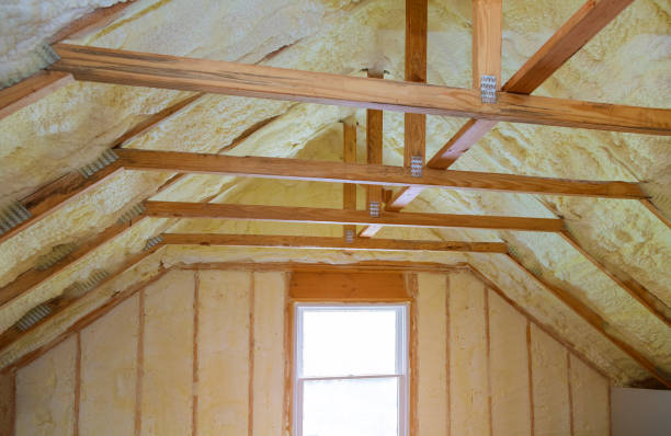 Best Specialized Insulation Services in Eming Island, FL