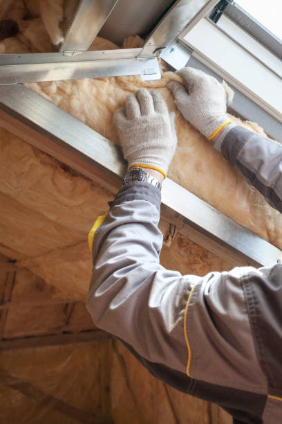 Best Spray Foam Insulation in Eming Island, FL
