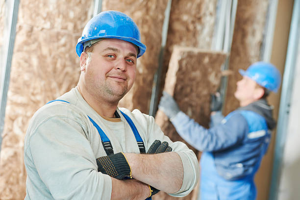 Best Geographic-Specific Insulation Services in Eming Island, FL