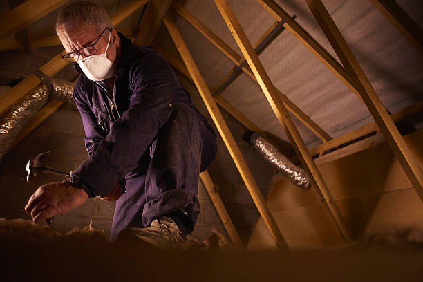 Best Energy Efficiency Insulation in Eming Island, FL